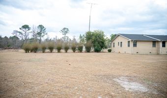 963 Springhill Church Rd, Alamo, GA 30411