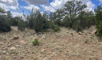 415 XYZ, Arenas Valley, NM 88022