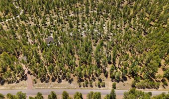 98 County Road 2266, Alpine, AZ 85920
