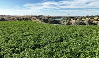 Neeley Road, American Falls, ID 83211