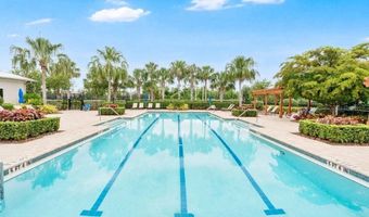 6214 Sea Amber Ln, Apollo Beach, FL 33572