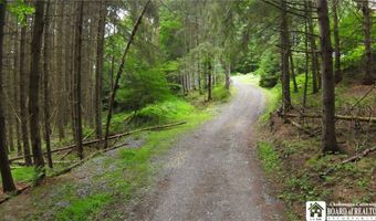 3220 Mcclure Hollow Rd, Allegany, NY 14706