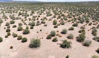 0 N Wagon Tree Rd, Ash Fork, AZ 86320
