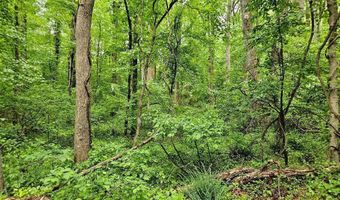 JOHN LANGSTON Avenue, Aquasco, MD 20608