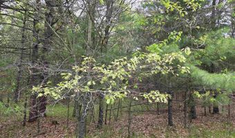 S Badger Lane lot 39, Arkdale, WI 54613