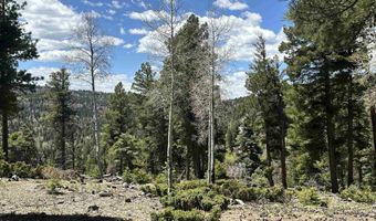 Lots 16 Lot17 Palo Flechado Ridge Road, Angel Fire, NM 87710