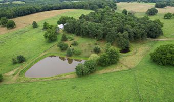 14599 W Farm Road 60, Ash Grove, MO 65604