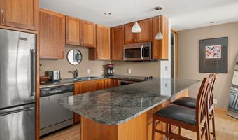 935 E Hopkins Ave 7, Aspen, CO 81611