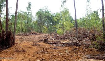 590 County Road 247, Bruce, MS 38915