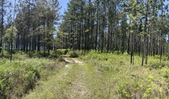 0 Orem Rd, Bay Minette, AL 36507