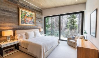 1110 Black Birch Dr, Aspen, CO 81611