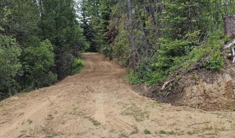 23 Sawtooth Loop, Cascade, ID 83611