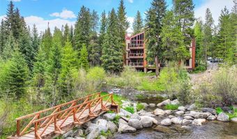 805 Columbine Rd 102, Breckenridge, CO 80424