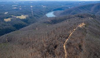Stoots Mountain Rd. lot 31-A-109, Austinville, VA 24312