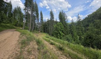480 Dunn Peak Rd, Avery, ID 83802