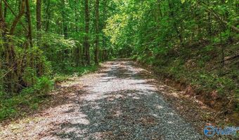Unit # 0 Murphree Valley Road, Altoona, AL 35952