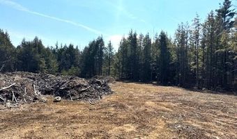 Milk Road lot 14, Alfred, ME 04002