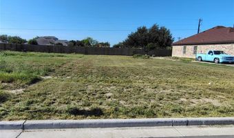 3405 E Diamond Head Ave, Alton, TX 78573