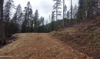 480 Dunn Peak Rd, Avery, ID 83802