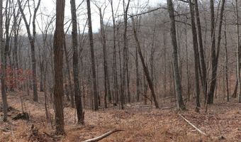 Route 12 Road, Alum Creek, WV 25003