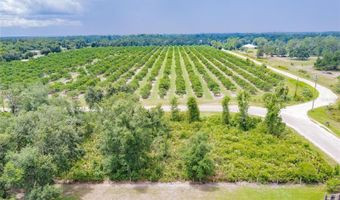 SW GATOR TRAIL, Arcadia, FL 34266