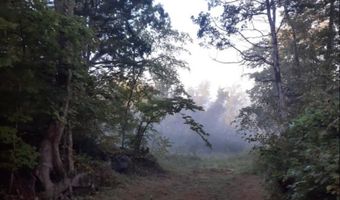 4889 NW Willow Grove Hwy Lot #2, Allons, TN 38541