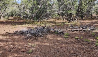 912 Westwood Rnch, Ash Fork, AZ 86320