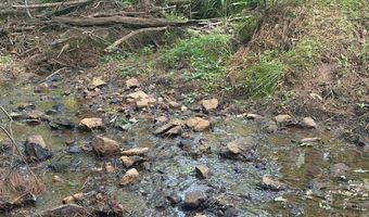 Piney Mountain Rd, Appomattox, VA 24522