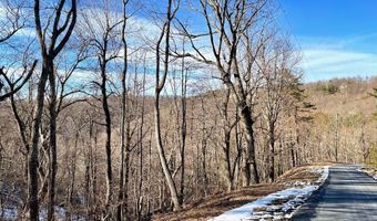 MOUNTAIN LAUREL LN 1, Afton, VA 22920