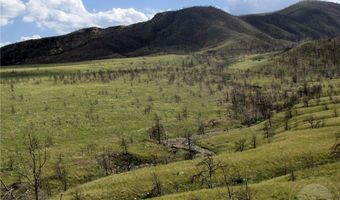 Tbd Ranger Way, Belfry, MT 59008