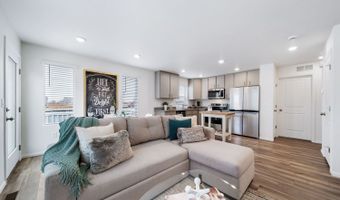 45056 Sunflower Ln Plan: Albright, Bennett, CO 80102