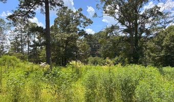 0 CR-215, Ariton, AL 36311