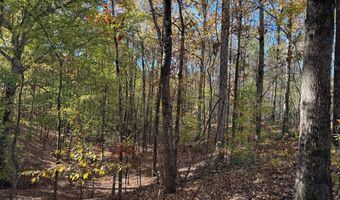 Hwy 9, Bruce, MS 38915