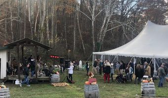 9175 BATESVILLE Rd, Afton, VA 22902