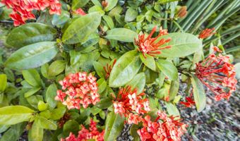 938 S Kihei Rd 301, Kihei, HI 96753