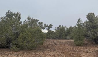 3 ACR 8128 Rd 250, Concho, AZ 85924