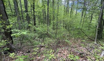 999999 Harwood Rd 2, Barnardsville, NC 28709