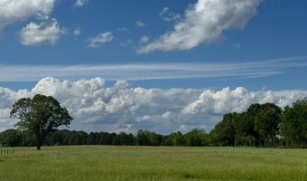 447 County Road 215, Abbeville, MS 38601