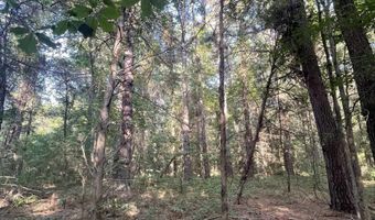 TBD HWY 44 E, De Kalb, TX 75559