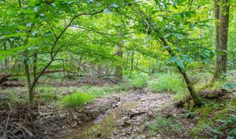 1 Camino Rd, Hot Springs Village, AR 71909