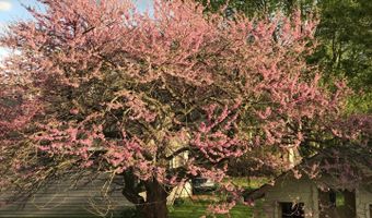 23565 W Margate Ter, Antioch, IL 60002