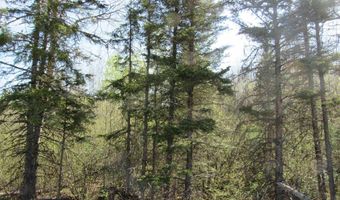 US 141 Road lot Lukes Road, Amasa, MI 49903