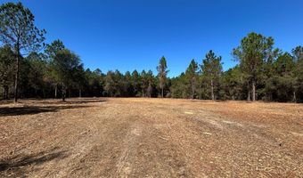 20 Ac Coot Adams Rd, Ashford, AL 36312