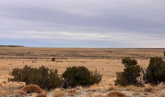 County Road 91.9, Aguilar, CO 81020