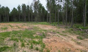 19 43 Big Rocks Rd, Antlers, OK 74523