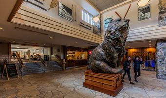 40 Big Sky Rd 1934, Big Sky, MT 59716