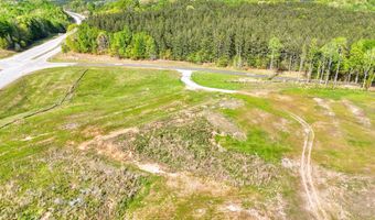 862 McCoy Brg, Homer, GA 30547