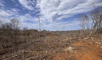 0 County Road 217 Lot 1, Blue Springs, MS 38828