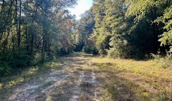 0 Lloyd Mill Rd, Andalusia, AL 36421