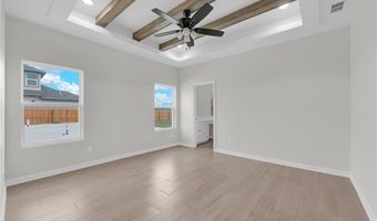 1107 Mezquite Dr, Alamo, TX 78516